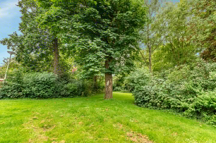 Foto 48 van Hoornbloem 20