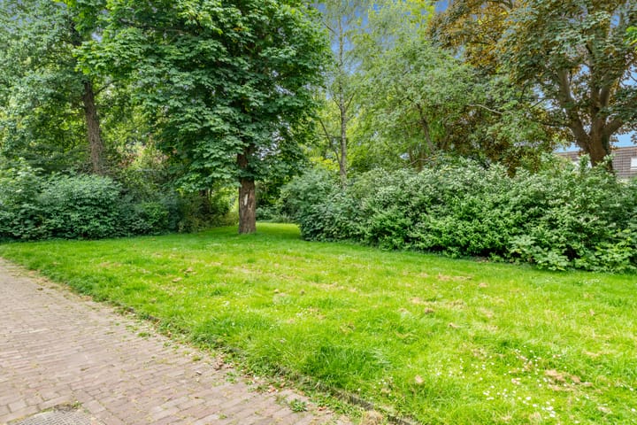 Foto 49 van Hoornbloem 20