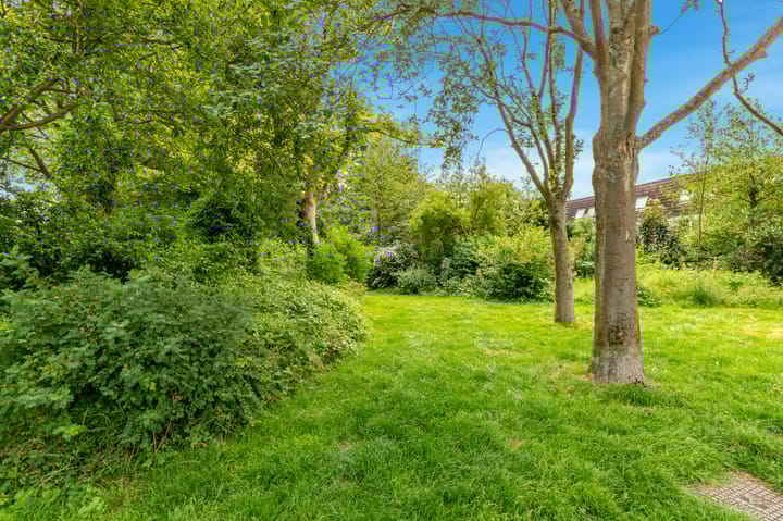 Foto 50 van Hoornbloem 20