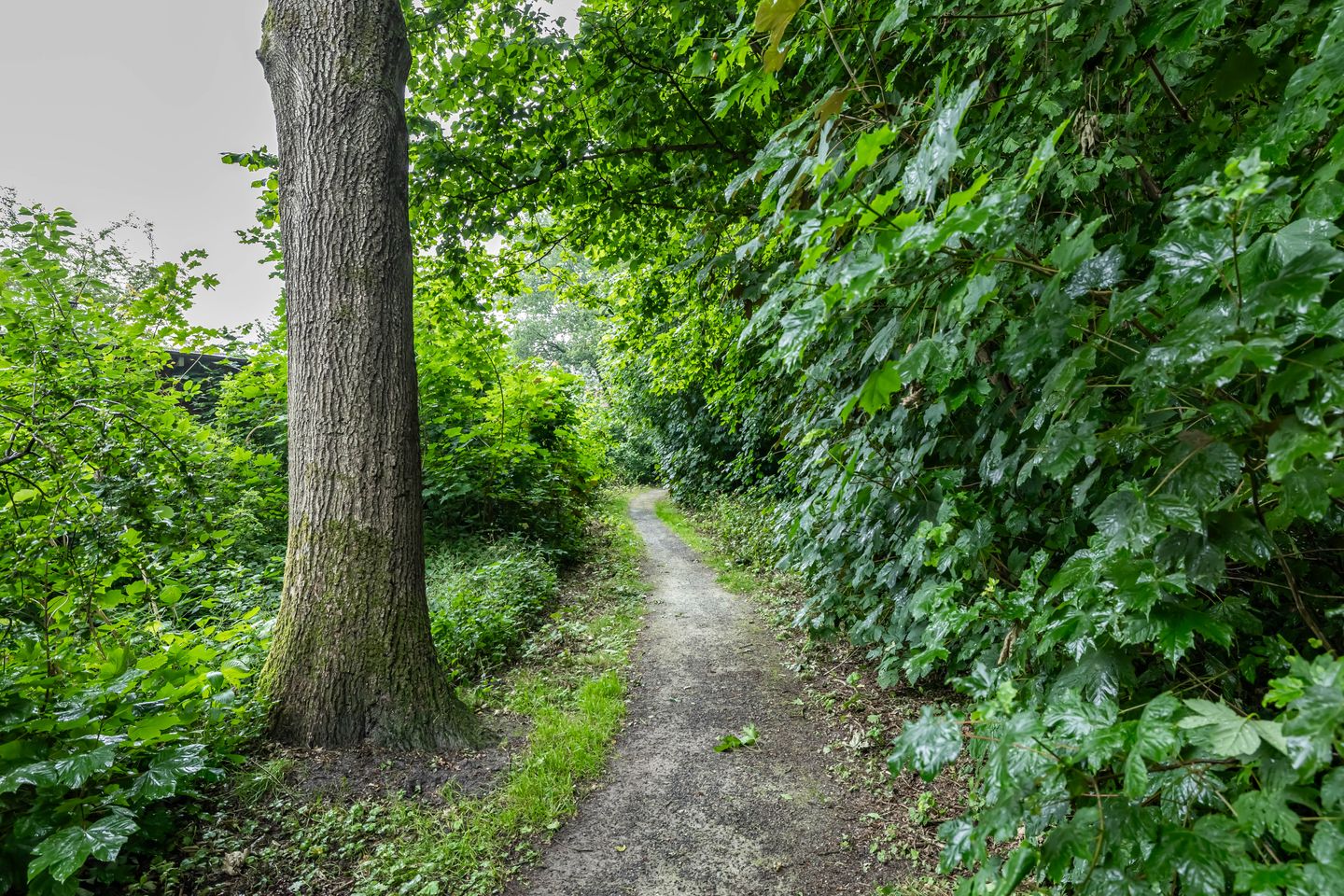 Foto 34 van Ruiterakker 67