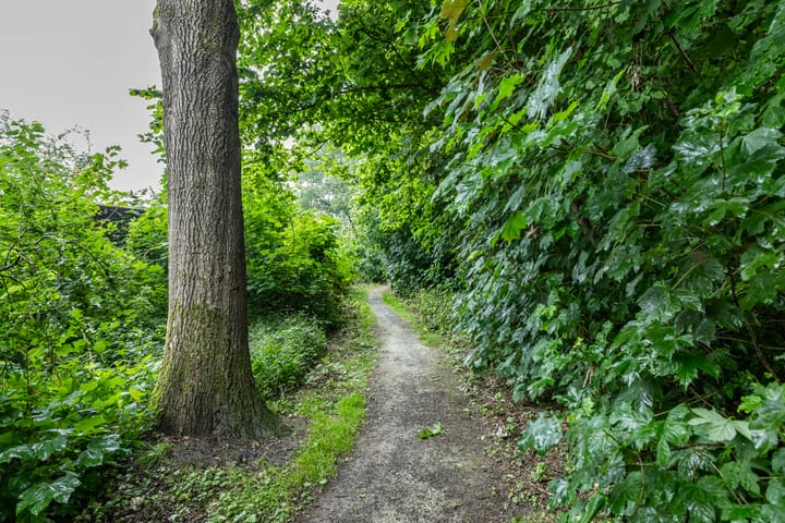 Foto 34 van Ruiterakker 67