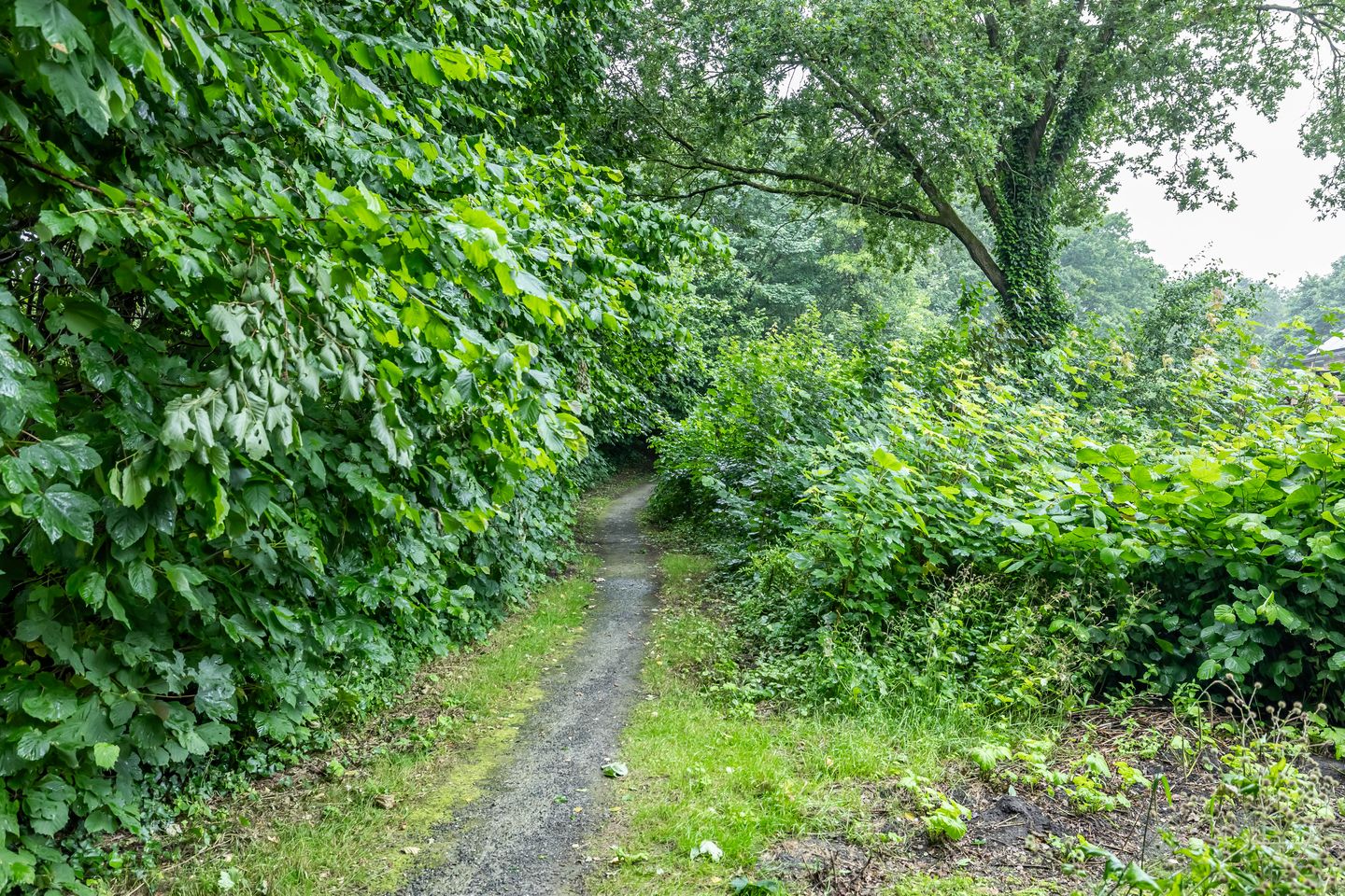 Foto 35 van Ruiterakker 67