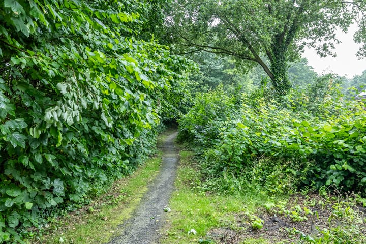 Foto 35 van Ruiterakker 67