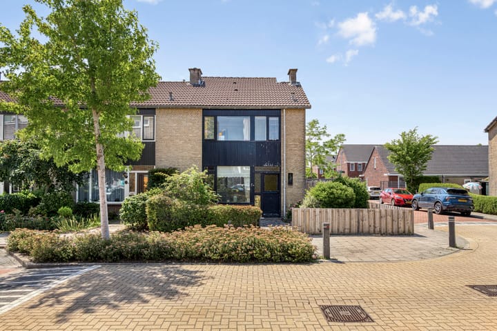 undefined main image