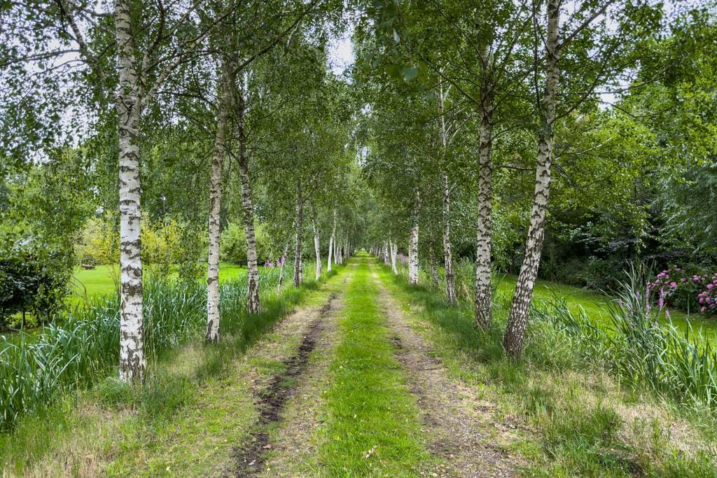 Foto 46 van Oud Over 51