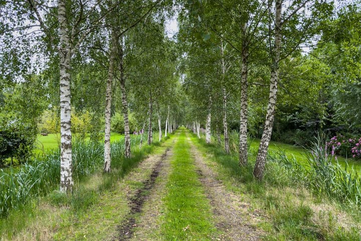 Photo 46 of Oud Over 51