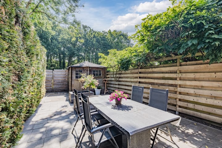 Foto 31 van De Punter 11