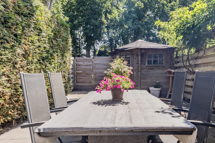 Foto 35 van De Punter 11