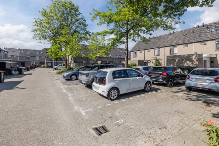 Foto 37 van De Punter 11