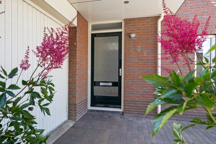 Foto 4 van Solckamastins 24