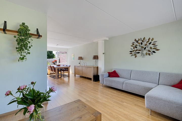 Foto 6 van Solckamastins 24