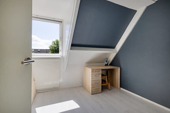 Foto 24 van Solckamastins 24