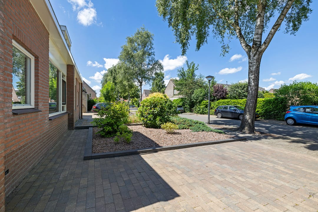 Foto 38 van Solckamastins 24