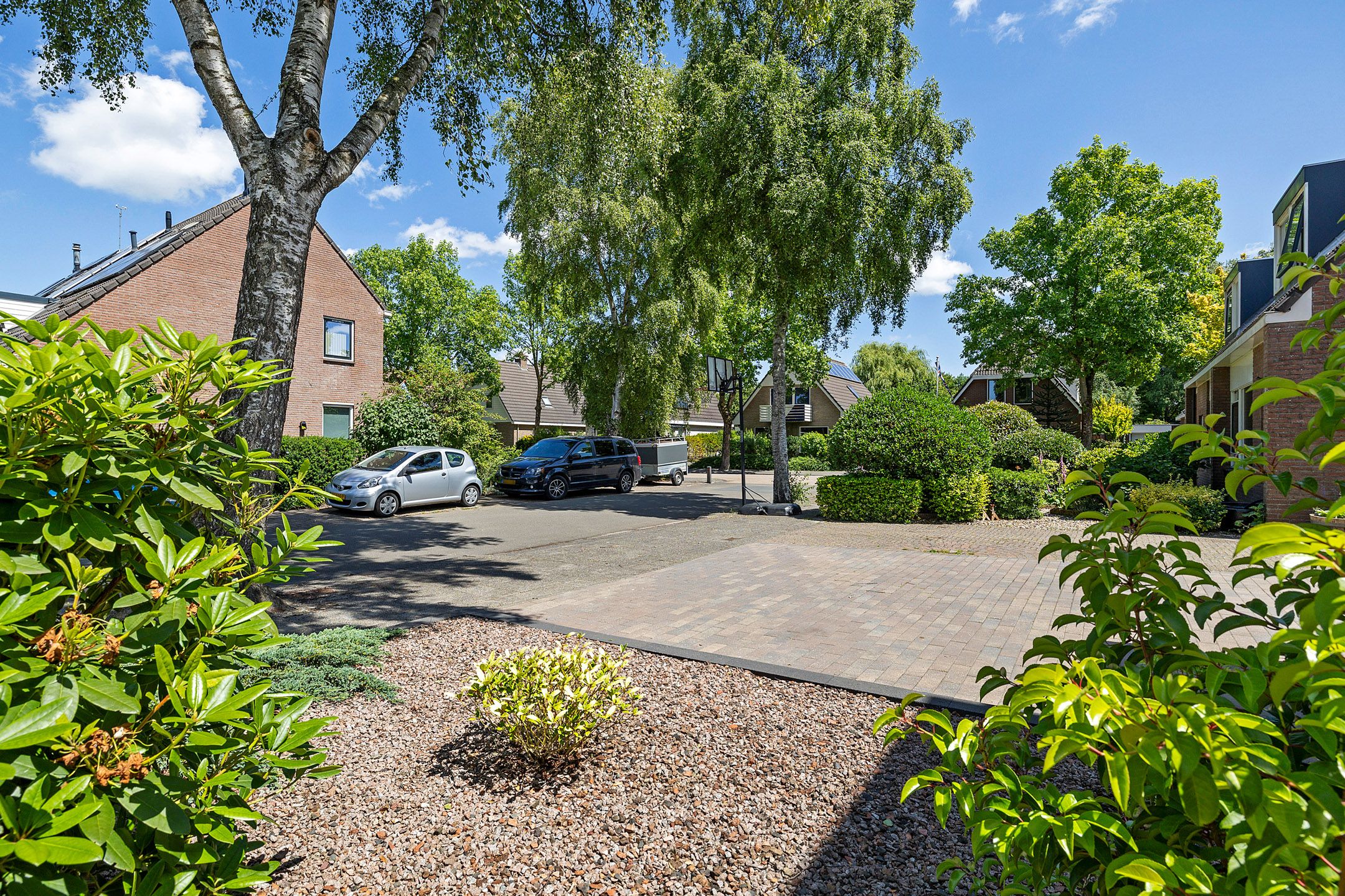 Foto 39 van Solckamastins 24