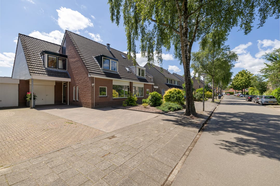 Foto 41 van Solckamastins 24