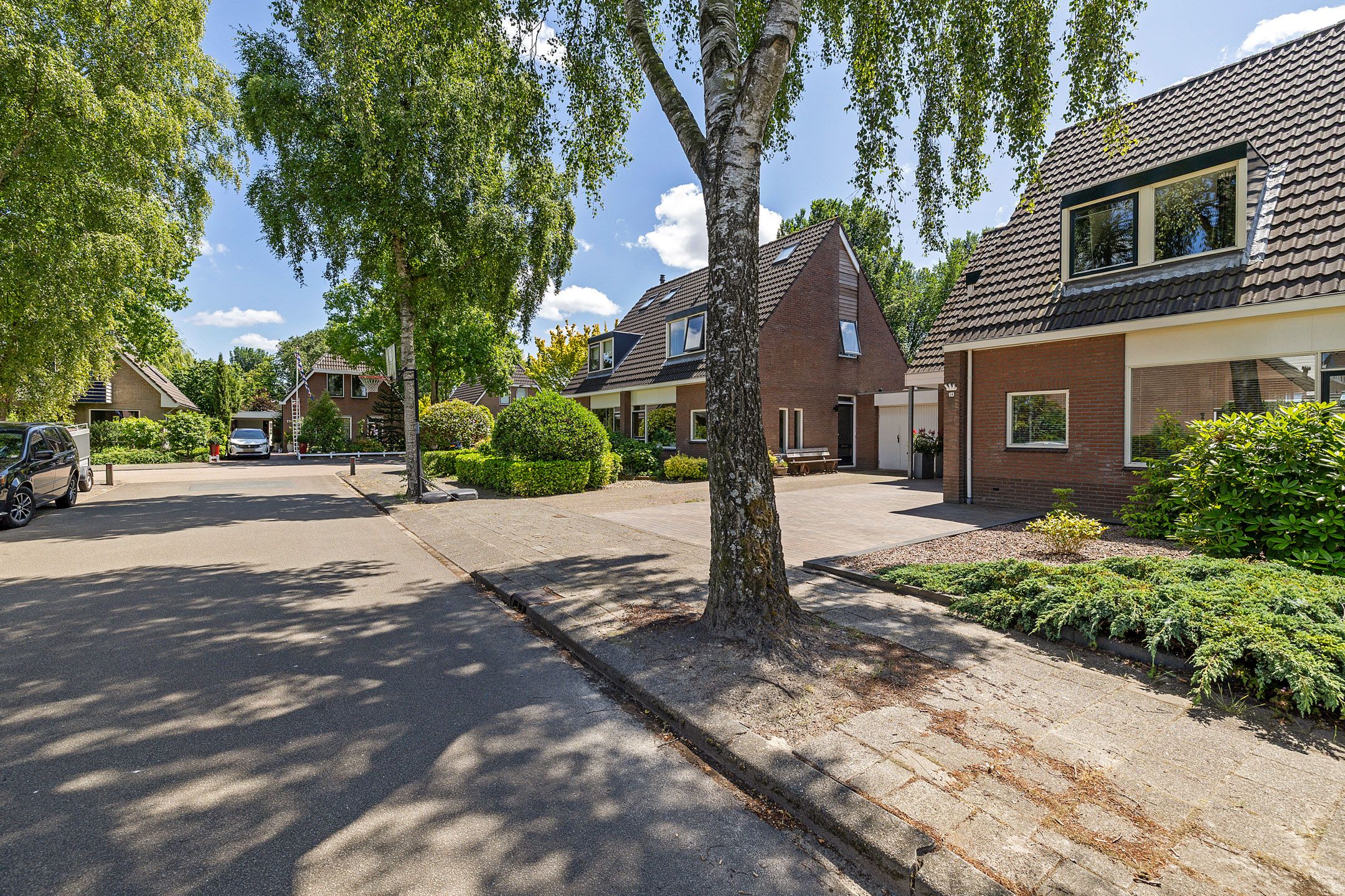 Foto 42 van Solckamastins 24