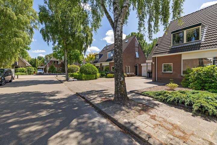 Foto 42 van Solckamastins 24