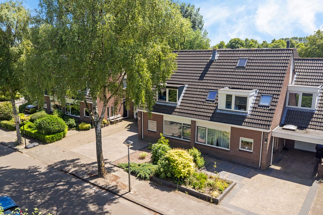 Foto 43 van Solckamastins 24