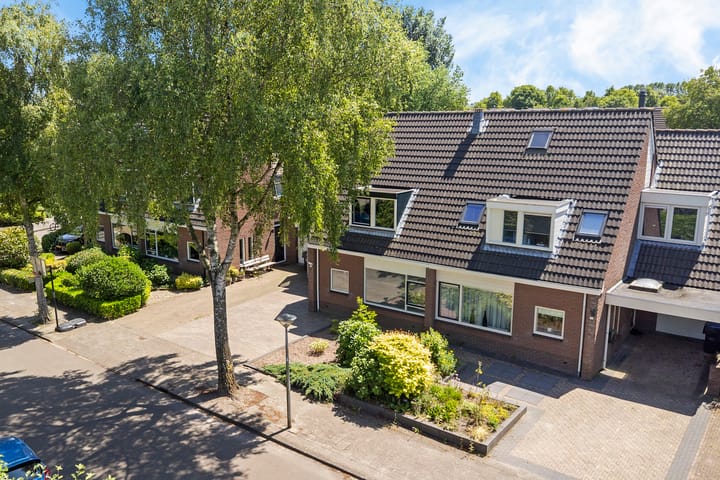 Foto 43 van Solckamastins 24