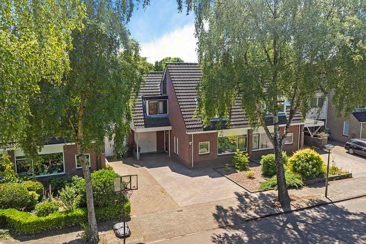 Foto 45 van Solckamastins 24