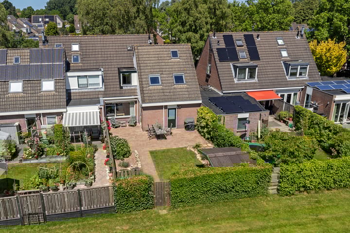 Foto 46 van Solckamastins 24