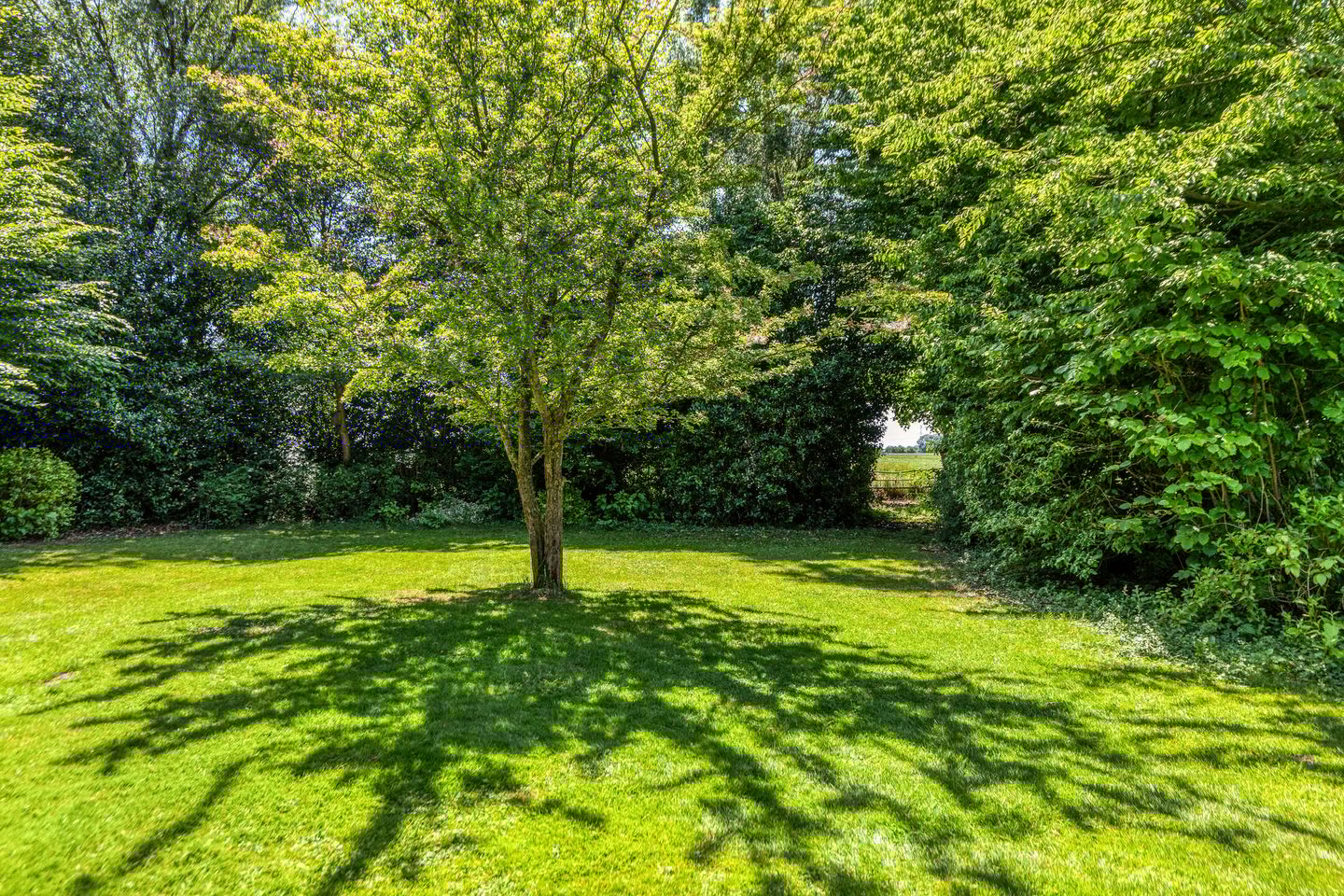 Foto 14 van Zomerweg 32