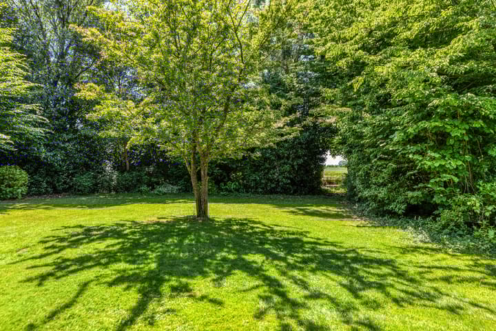 Foto 14 van Zomerweg 32