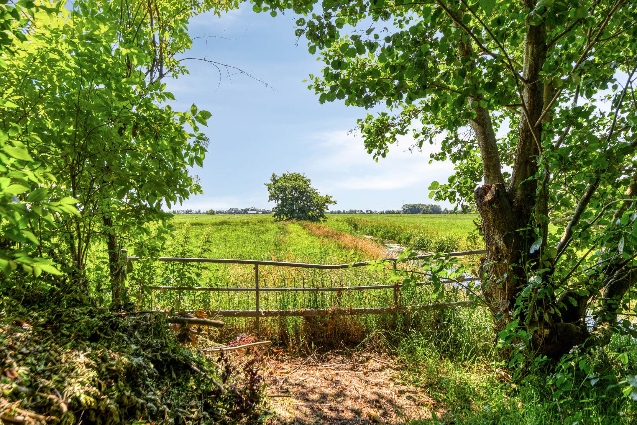 Foto 15 van Zomerweg 32