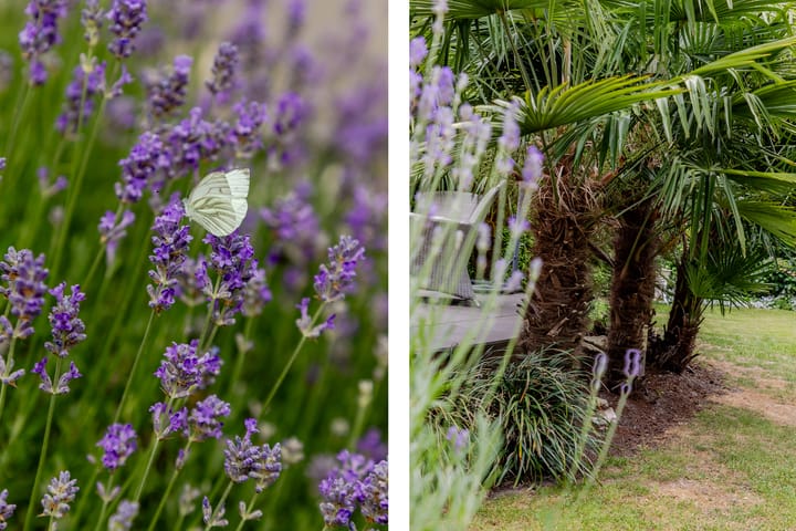 Foto 21 van Muisbroekseweg 25