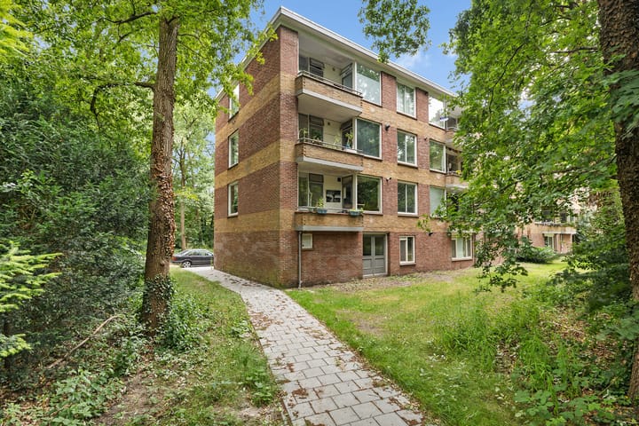 Bekijk foto van Plesmanstraat 321
