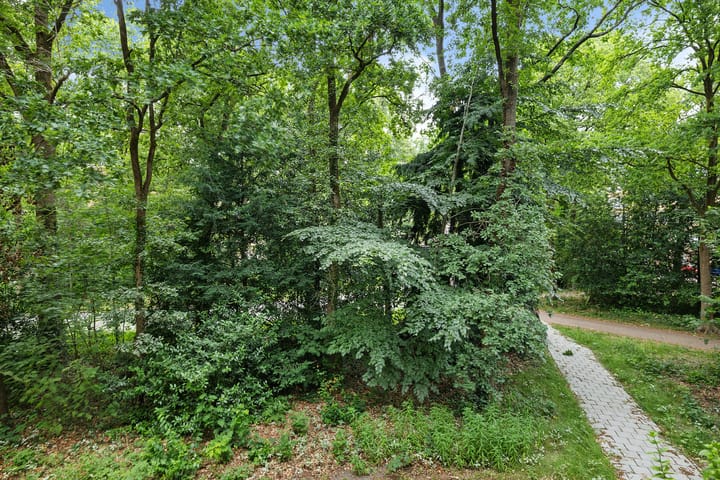 Foto 7 van Plesmanstraat 321