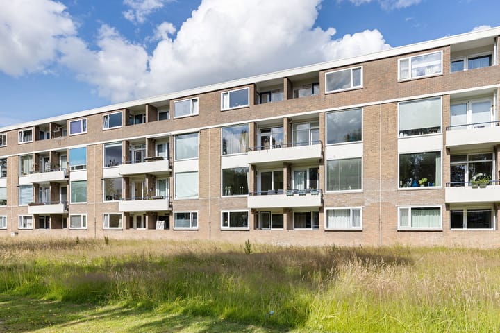 Foto 10 van Illegaliteitslaan 146