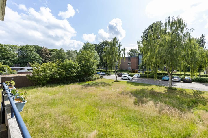 Foto 28 van Illegaliteitslaan 146