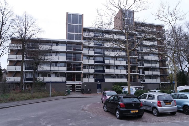 Aart van der Leeuwlaan 54