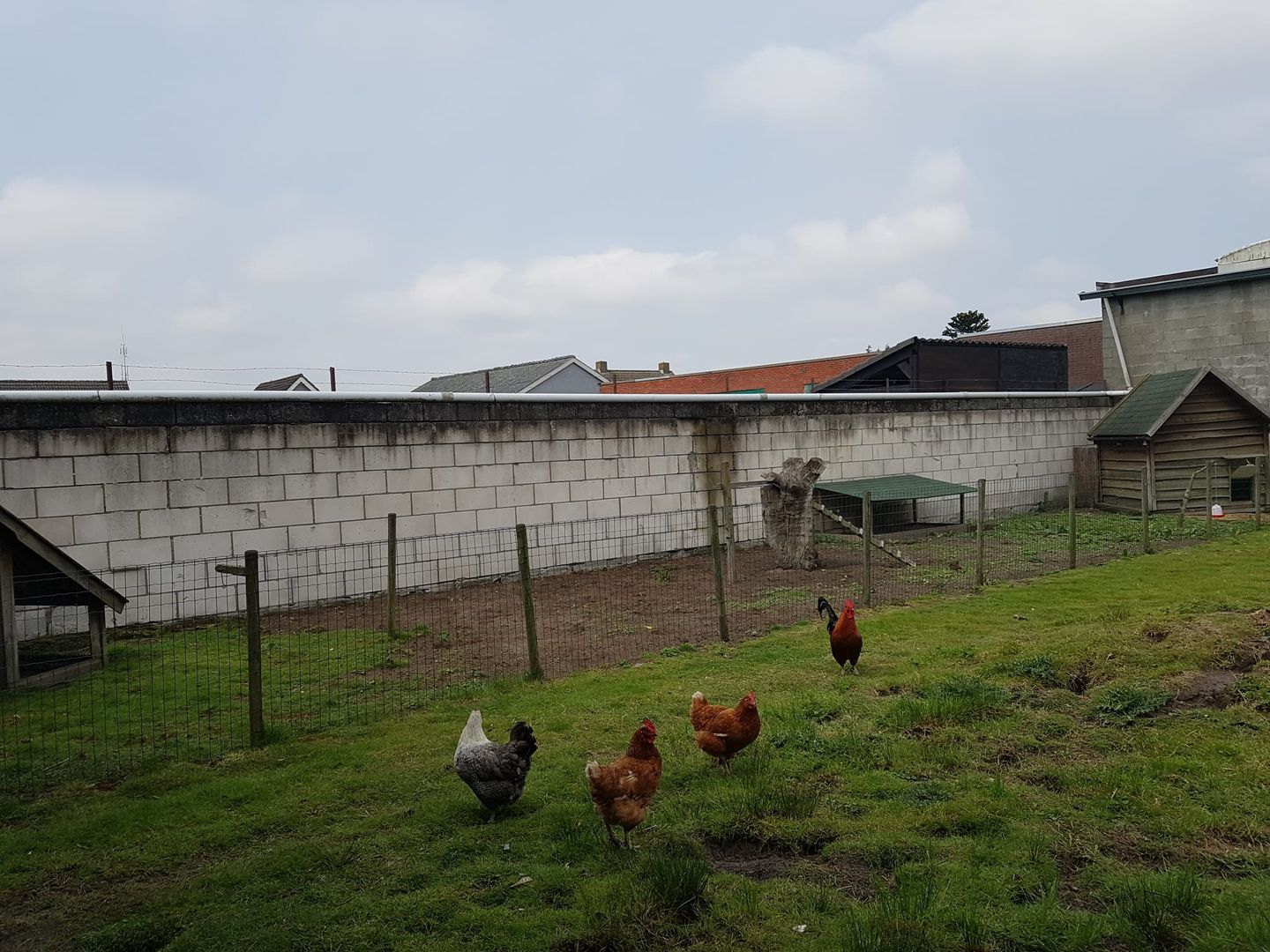 Foto 29 van Dorpsstraat 280