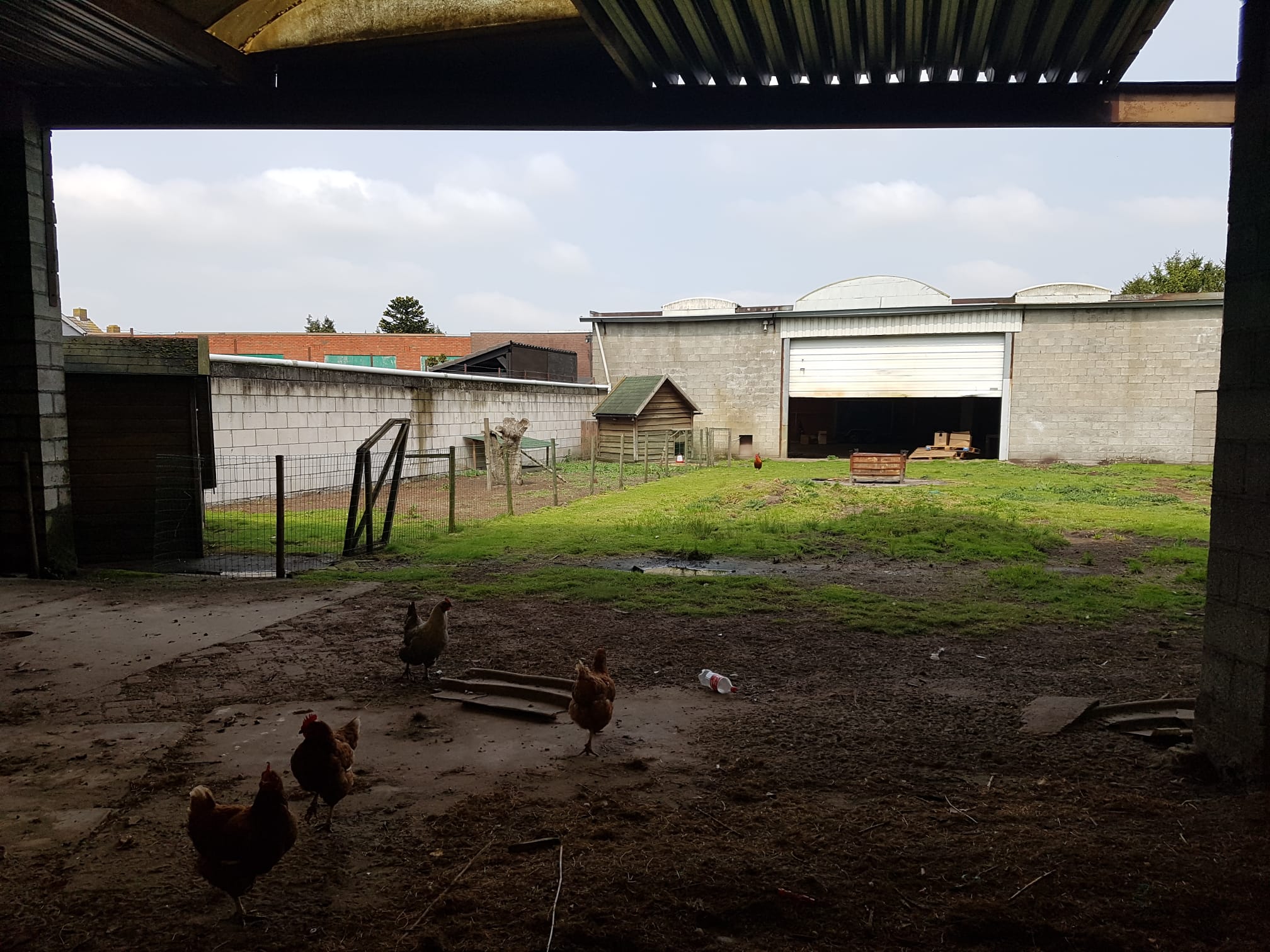 Foto 30 van Dorpsstraat 280