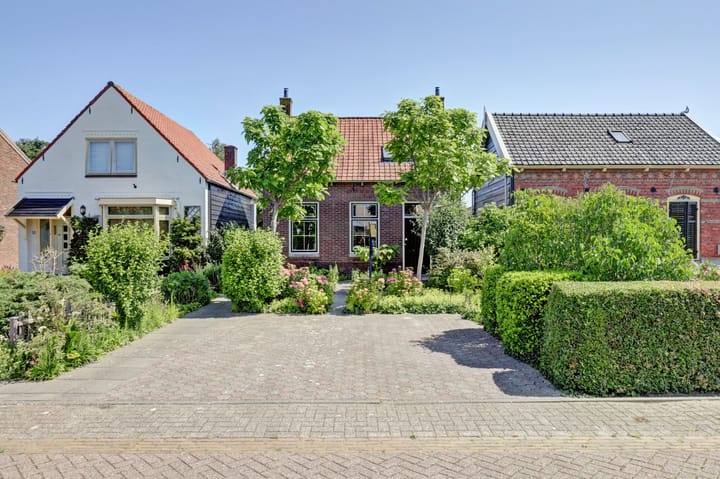undefined main image