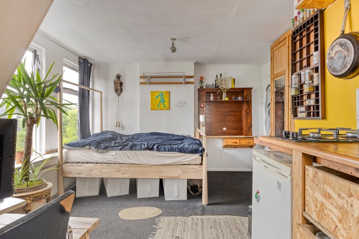 Foto 9 van Alexanderstraat 4-A