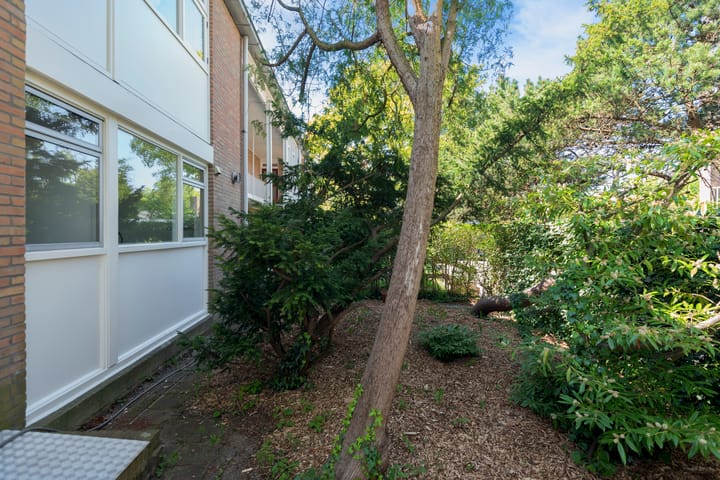 Foto 8 van Willem de Zwijgerlaan 84