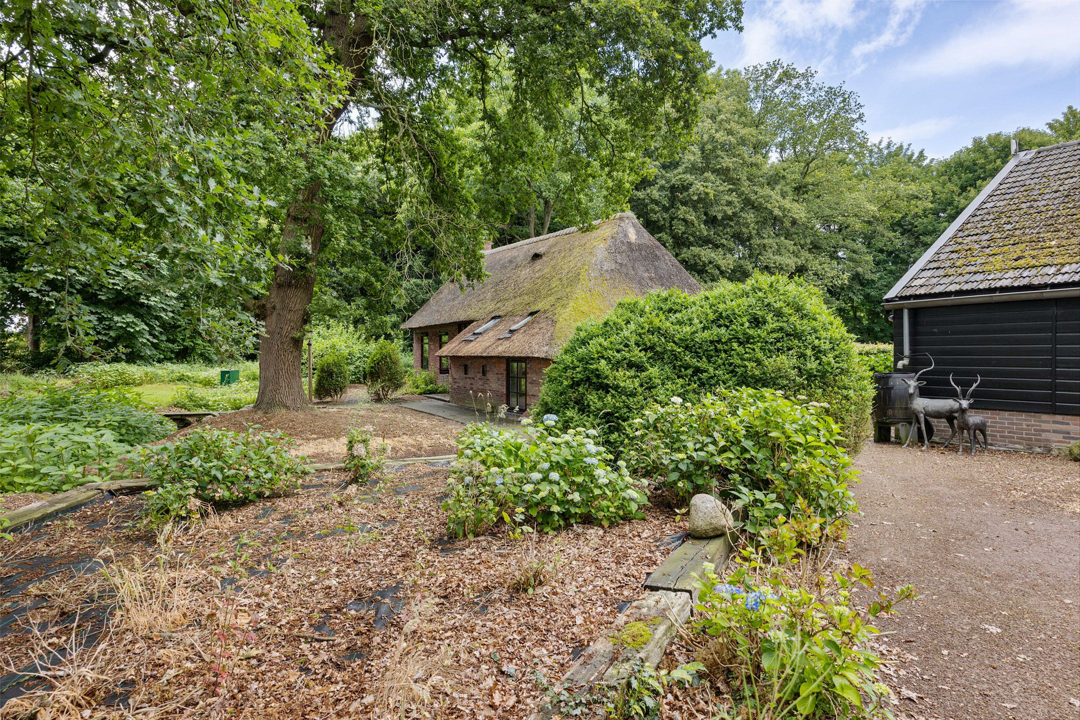 Foto 9 van Scheperweg 2