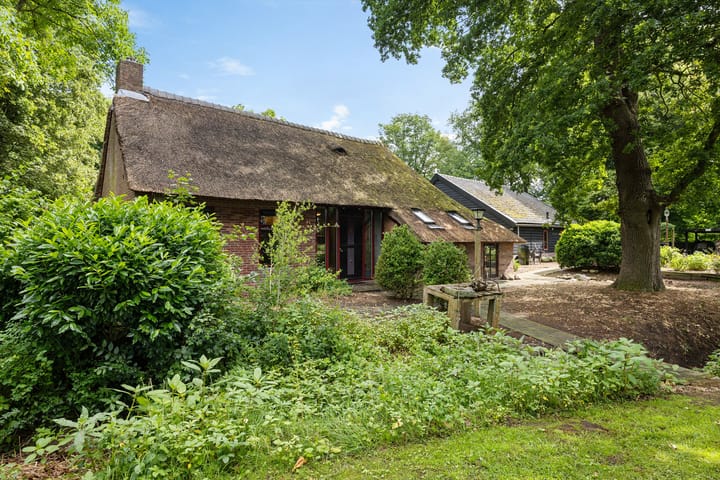 Foto 12 van Scheperweg 2