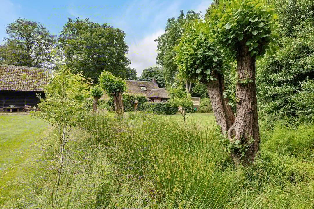 Foto 23 van Scheperweg 2