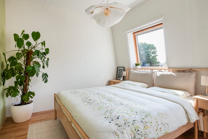 Foto 18 van Jan Steenstraat 24