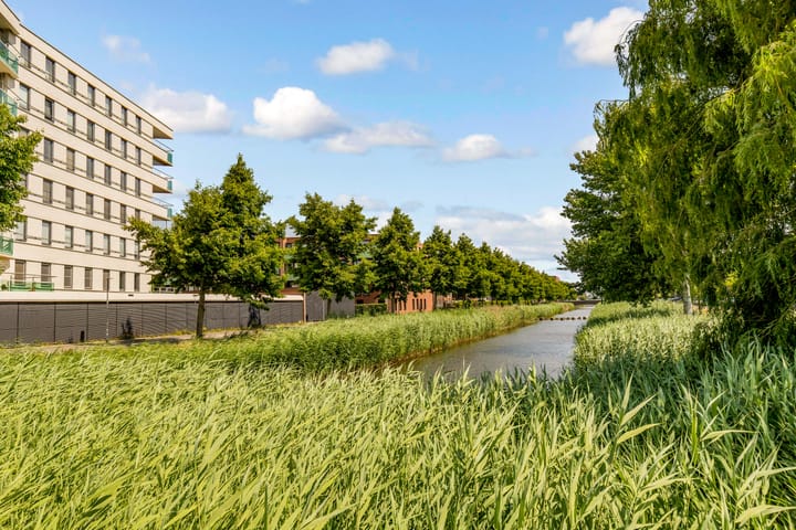 Foto 49 van Roald Amundsenstraat 158