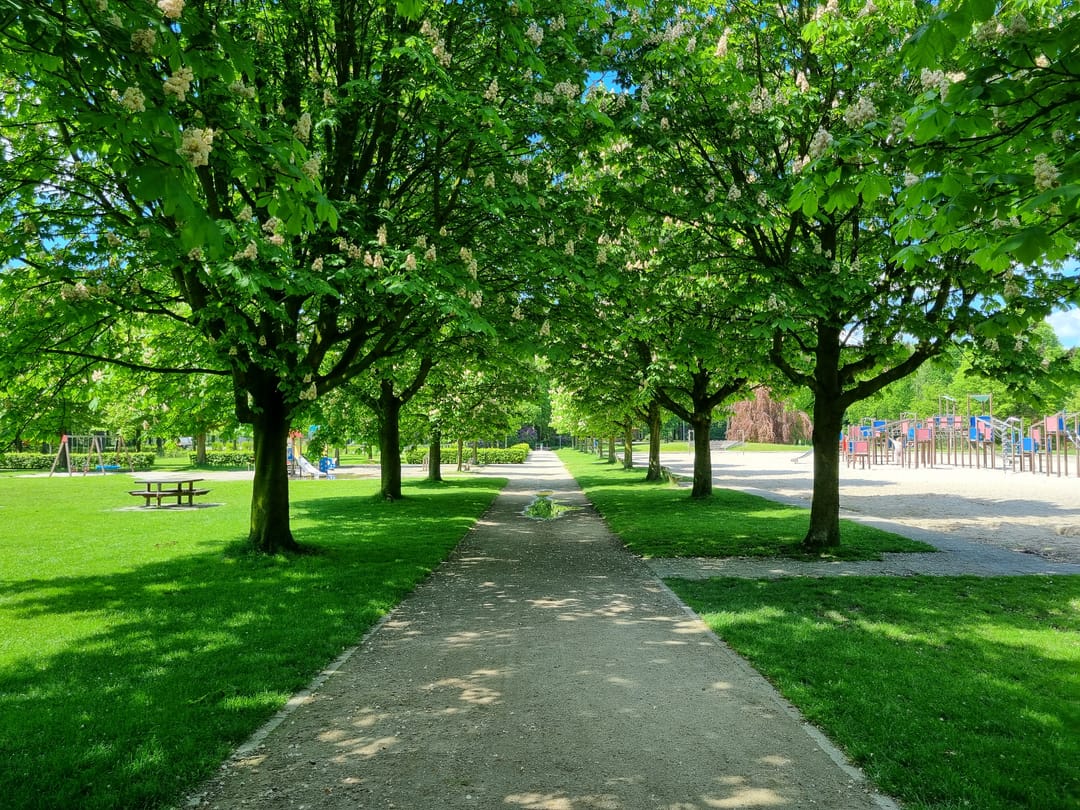 Foto 26 van Julianastraat 4-A