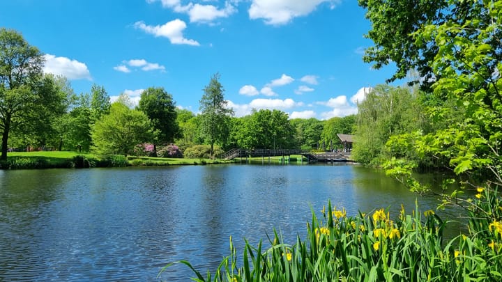 Foto 24 van Julianastraat 4-A