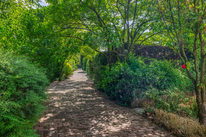 Foto 50 van Langstraat 12