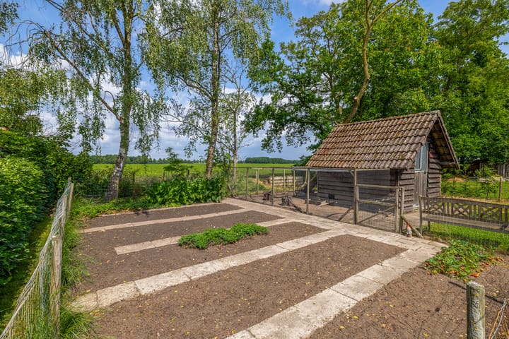 Foto 65 van Langstraat 12