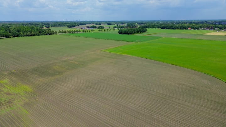 Foto 70 van Langstraat 12