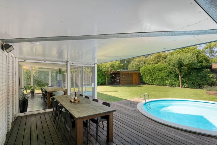 Foto 43 van Citroenvlinder 3